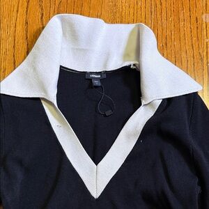 Express V-Neck Sweater in Black and Cream